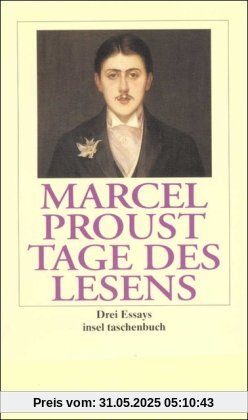 Tage des Lesens: Drei Essays (insel taschenbuch)