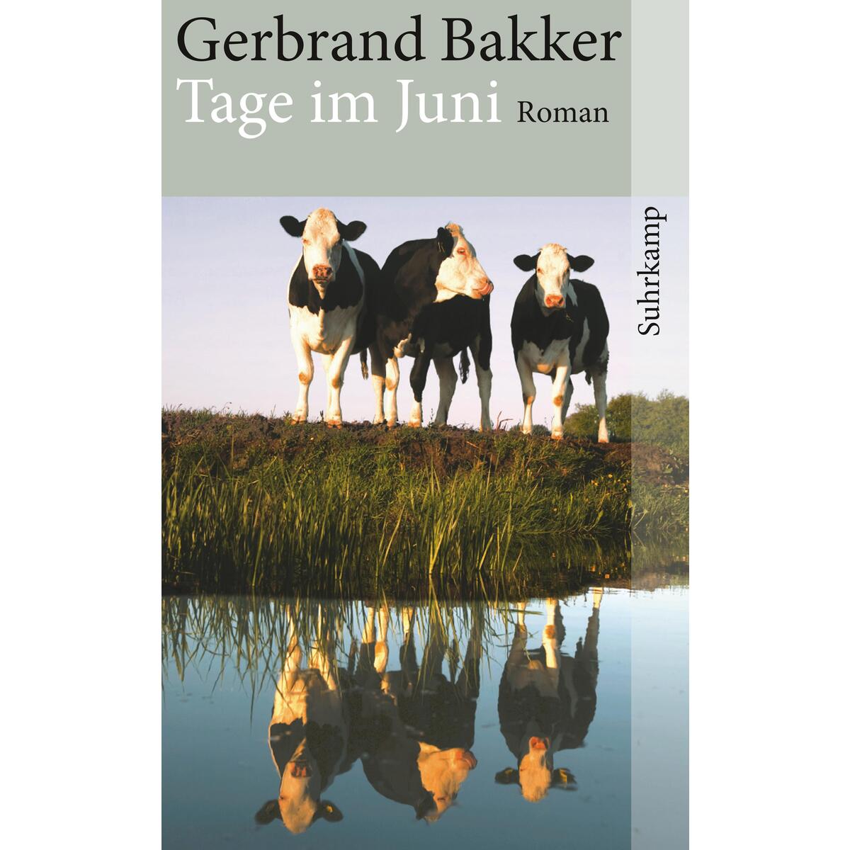 Tage im Juni Tage im Juni von Suhrkamp Verlag AG