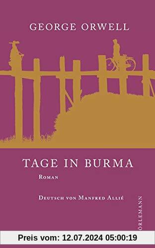 Tage in Burma: Roman