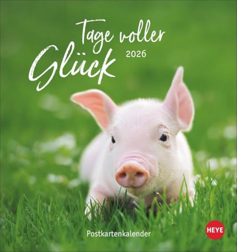 Tage voller Glück Postkartenkalender 2026: Kalender mit Postkarten zum Sammeln oder Verschicken. Inspirierende Fotos mit Sprüchen. Fotokalender zum Aufstellen oder Aufhängen. (Postkartenkalender Heye) von Heye