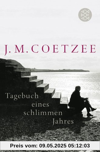 Tagebuch eines schlimmen Jahres: Roman Tagebuch eines schlimmen Jahres: Roman