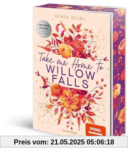 Take Me Home to Willow Falls (knisternde New-Adult-Romance mit wunderschönem Herbst-Setting)