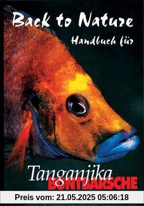 Tanganjika Buntbarsche