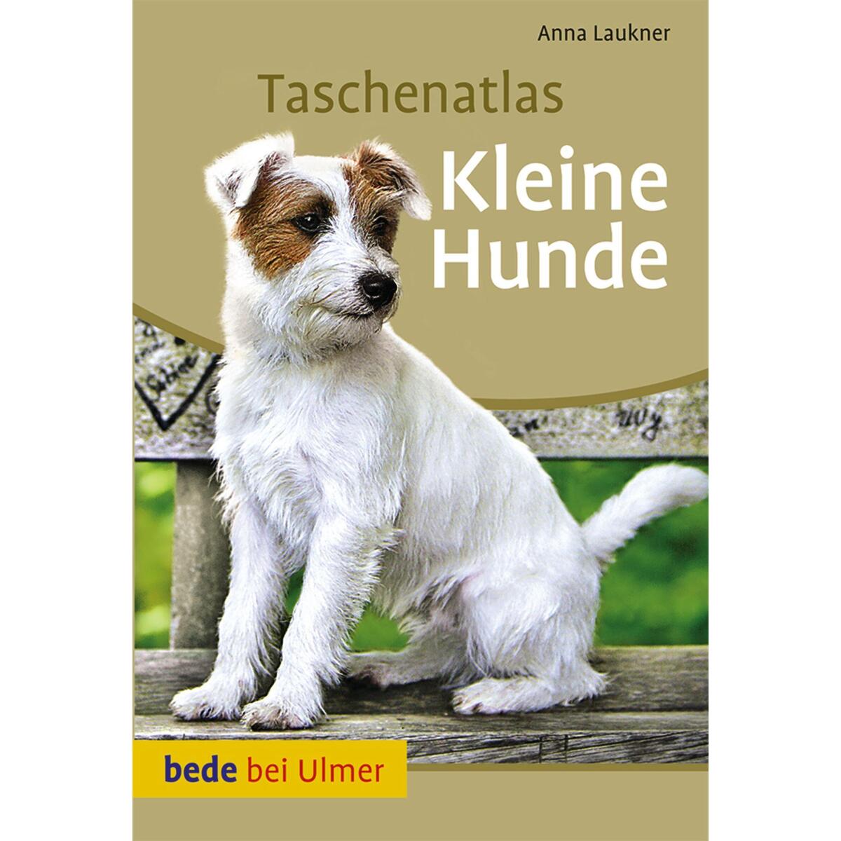 Taschenatlas Kleine Hunde von Ulmer Eugen Verlag