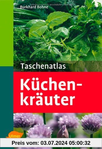Taschenatlas Küchenkräuter: 131 Pflanzenporträts