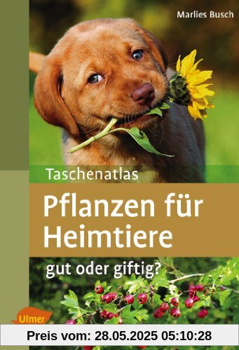 Taschenatlas Pflanzen für Heimtiere: Gut oder giftig?