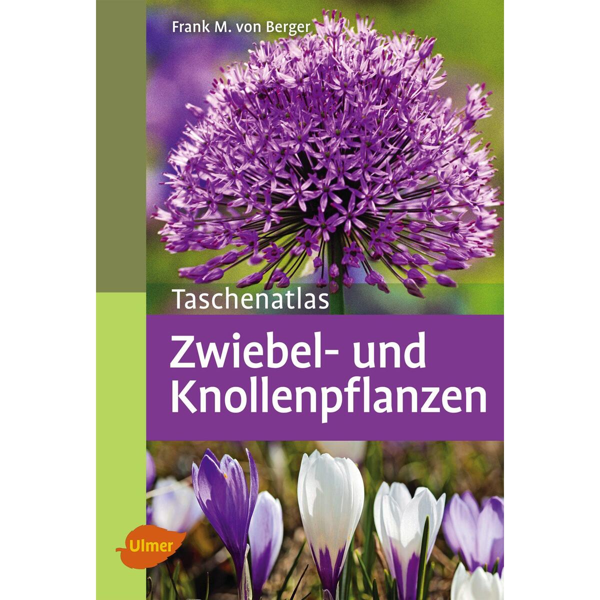 Taschenatlas Zwiebel- und Knollenpflanzen von Ulmer Eugen Verlag