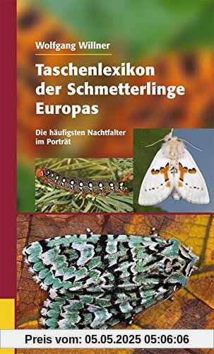 Taschenlexikon der Schmetterlinge Europas: Die häufigsten Nachtfalter im Porträt