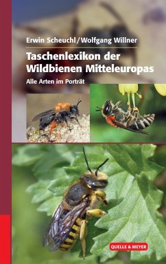 Taschenlexikon der Wildbienen Mitteleuropas von Quelle & Meyer