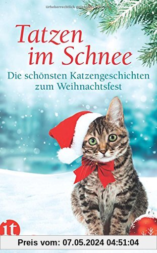 Tatzen im Schnee: Die schönsten Katzengeschichten zum Weihnachtsfest (insel taschenbuch)