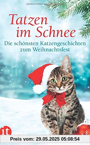 Tatzen im Schnee: Die schönsten Katzengeschichten zum Weihnachtsfest (insel taschenbuch)