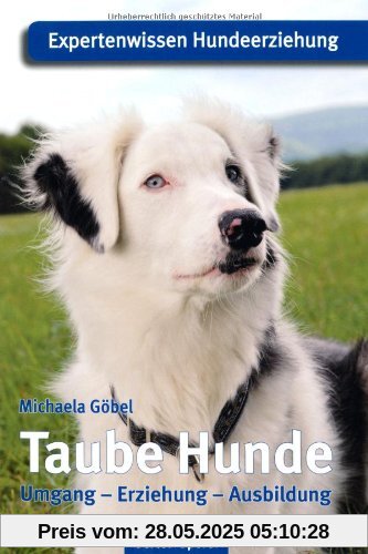Taube Hunde: Expertenwissen Hundeerziehung