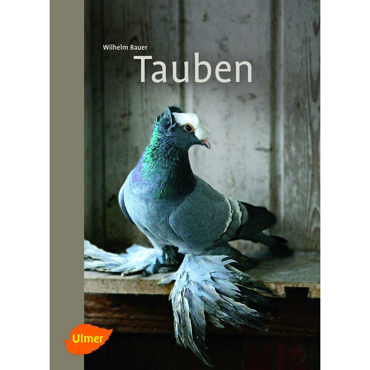 Tauben Tauben von Ulmer Eugen Verlag