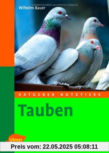 Tauben: Ratgeber Nutztiere
