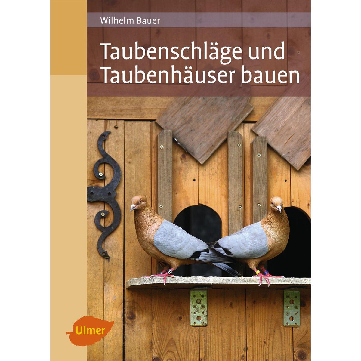 Taubenschläge und Taubenhäuser bauen von Ulmer Eugen Verlag