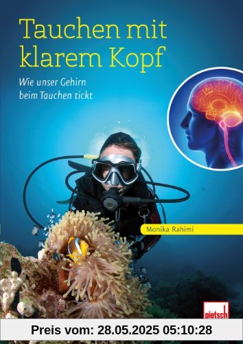 Tauchen mit klarem Kopf: Wie unser Gehirn beim Tauchen tickt