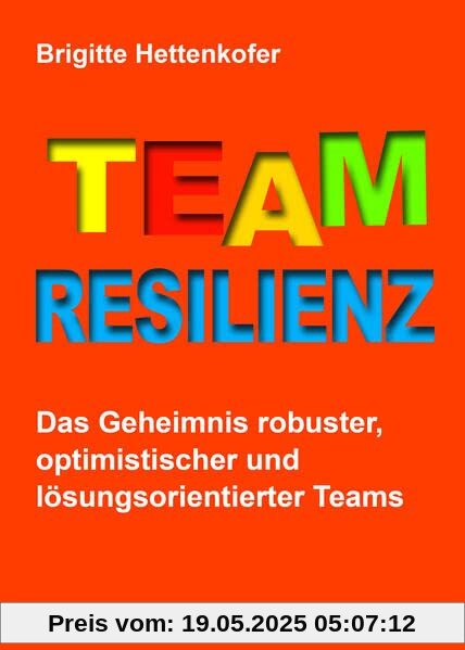 Team-Resilienz: Das Geheimnis robuster, optimistischer und lösungsorientierter Teams