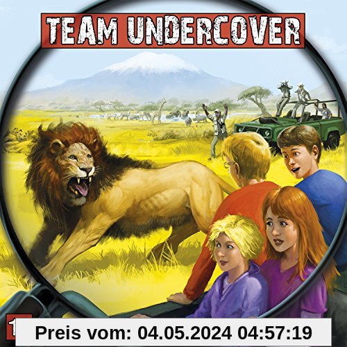 Team Undercover 15: Im Fadenkreuz