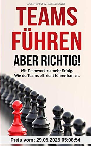 Teams führen - aber richtig!: Mit Teamwork zu mehr Erfolg. Wie du Teams effizient führen kannst.