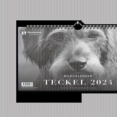 Teckel 2024: Themenkalender von J. Neumann-Neudamm Melsungen