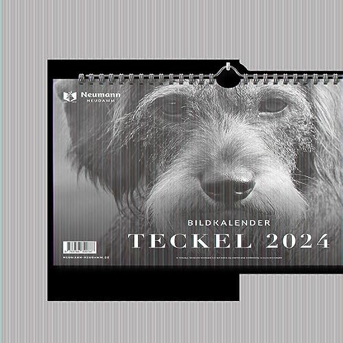 Teckel 2024: Themenkalender Teckel 2024: Themenkalender von J. Neumann-Neudamm Melsungen