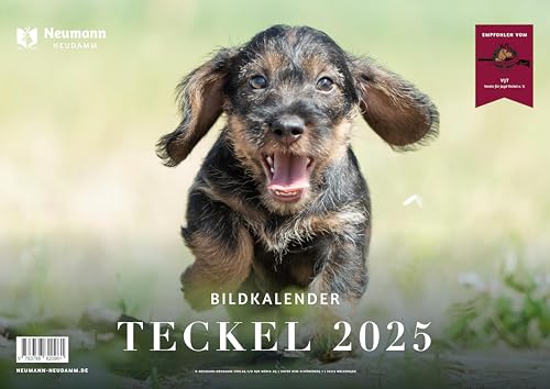 Teckel 2025: Themenkalender Teckel 2025: Themenkalender