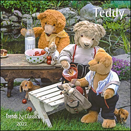 Teddy 2021 - Broschürenkalender - Wandkalender - mit herausnehmbarem Poster - Format 30 x 30 cm von DuMont Kalenderverlag