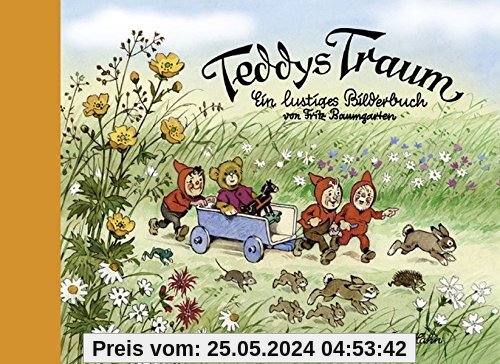 Teddys Traum