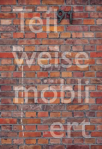 Teilweise möbliert, exzellente Aussicht. Ortsspezifische Kunst für Haus Lange: Kunstmuseum Krefeld von König, Walther