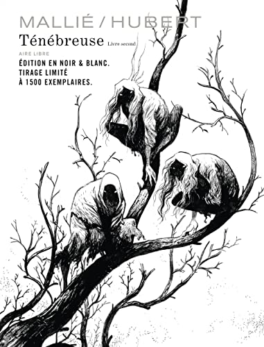 Ténébreuse - Tome 2 Ténébreuse - Tome 2 von DUPUIS