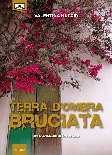 Terra d'ombra bruciata (Historica)