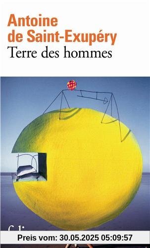 Terre des hommes (Folio)