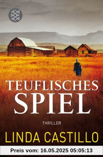 Teuflisches Spiel: Thriller