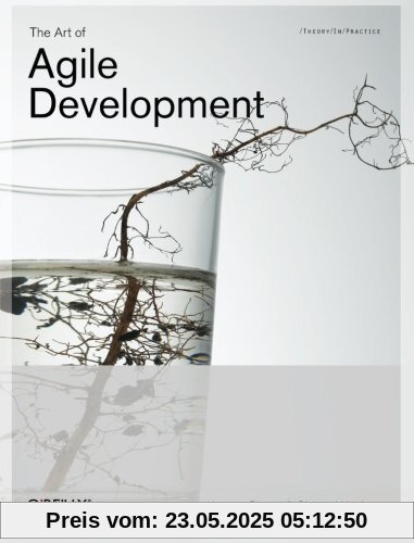The Art of Agile Development