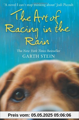 The Art of Racing in the Rain