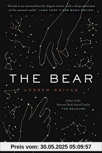 The Bear