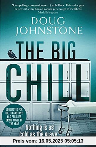 The Big Chill (Skelfs, Band 2)