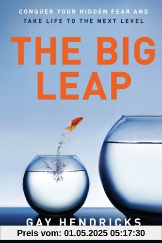 The Big Leap: Conquer Your Hidden Fear and Take Life to the Next Level