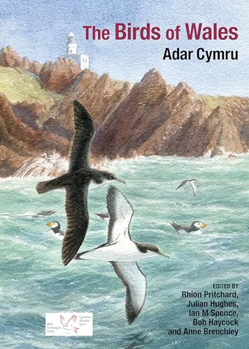 The Birds of Wales von Liverpool University Press