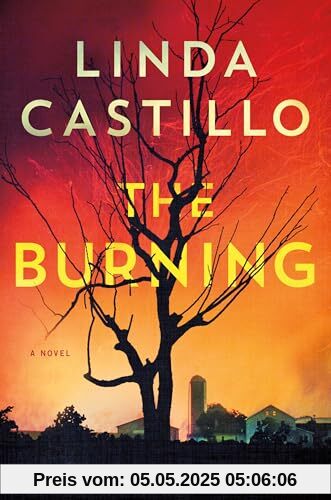 The Burning: A Novel (Kate Burkholder)