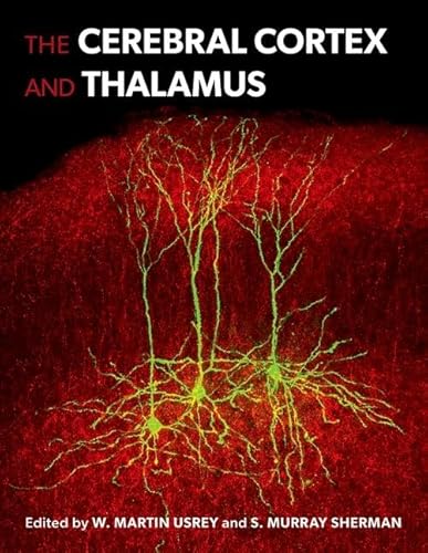 The Cerebral Cortex and Thalamus The Cerebral Cortex and Thalamus von OUP USA