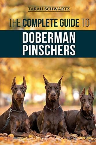 The Complete Guide to Doberman Pinschers: Preparing for, Raising, Training, Feeding, Socializi...