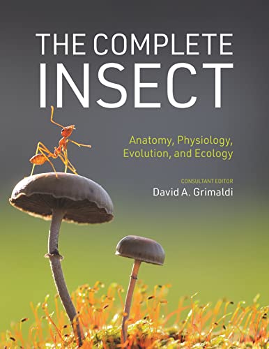 The Complete Insect: Anatomy, Physiology, Evolution, and Ecology von Princeton Univers. Press