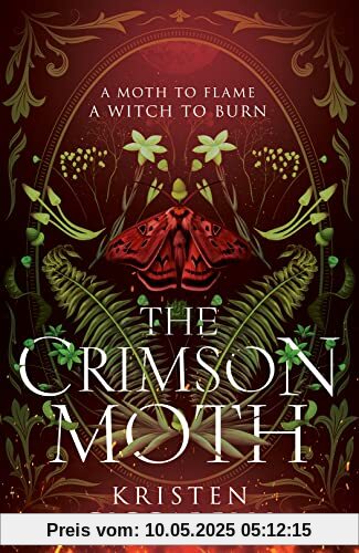 The Crimson Moth: The perfect witch x witch hunter, enemies to lovers, YA romantasy that is a 2024 TikTok favourite
