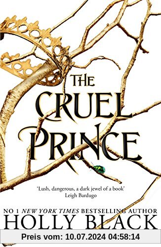 The Cruel Prince (The Folk of the Air, Band 1)
