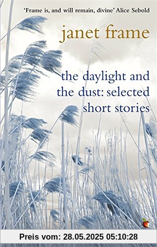 The Daylight And The Dust: Selected Short Stories (Virago Modern Classics, Band 145)