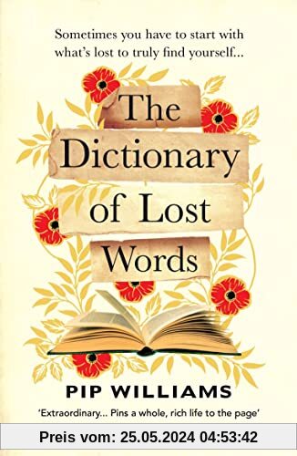 The Dictionary of Lost Words: ‘An extraordinary, charming novel’ - The Times