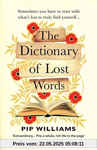 The Dictionary of Lost Words: ‘An extraordinary, charming novel’ - The Times