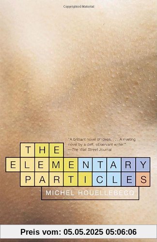The Elementary Particles (Vintage International)