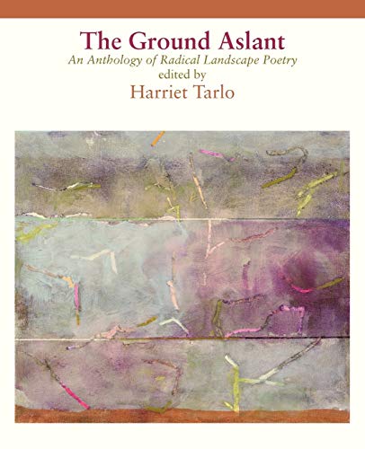 The Ground Aslant - Radical Landscape Poetry: An Anthology of Radical Landscape Poetry von Shearsman Books